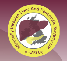 MI-LAPS, First Hands-on Major Cadaveric Laparoscopic Liver Resection Course 