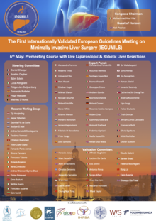 The First Internationally validated European guidelines meeting on minimally invasive Liver Surgery (IEGUMILS)