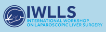 International Workshop on Laparoscopic Liver Surgery