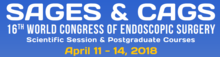 2018 World Congress of Endoscopic Surgery